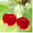 献给我们最爱最美的英语老师 ――工商管理专