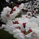 股票白银RSI实战入门炒现货白银投资入门教程