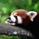 股票技术分析 炒股入门知识