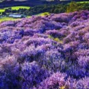 HIIT 高效燃脂操让你健康瘦下来