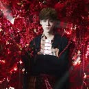 鹿晗520爱你空间动态-鹿晗520爱你相关视频