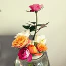 向往的生活2之何炅给徐峥洗头笑哭 黄磊模仿小