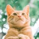 【小七】我的世界精灵王子#1保护夜