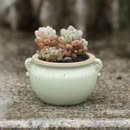 拉伸大腿前侧 缓解大腿前侧肌肉突出-健康-高清