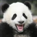 合肥奥蓝信息科技有限公司 5个前沿黑科技!