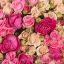 英文儿歌《小宝踢足球》,儿童教育动画