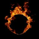 海岛奇兵破解版 QQ下载地址:2723239975