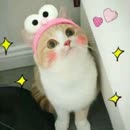 【抖音TOP10】十大魔性舞蹈音乐合集!