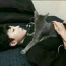 津门飞鹰 第02集 张子健版燕双鹰抗战电视剧