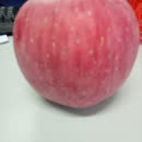 【抖音TOP10】十大魔性舞蹈音乐合集!