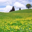 yy跨年演唱会王亮《拥抱你离去》dj版,好听到醉